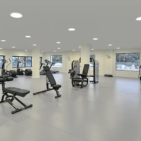 Hotel Sol Marbella Atalaya Park 4*